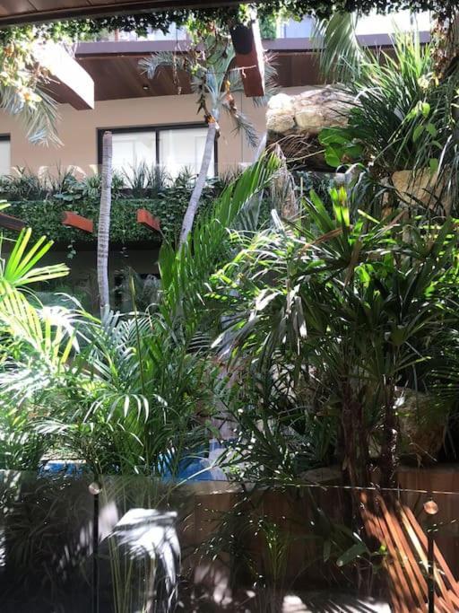012 Modern Luxurious Wifi 100 Mb Apartment Tulum